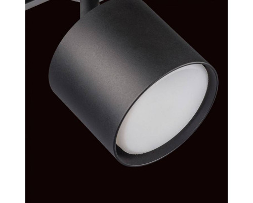 Светильник на штанге Lightstar Rullo R1T3487