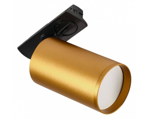 Светильник на штанге MyFar Technical MT0120-GU10-BS