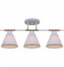 Люстра на штанге  07594-0.3-03 WG