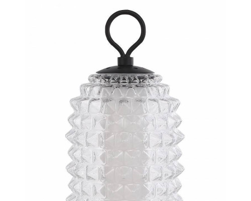 Настольная лампа декоративная ST-Luce SAGUARO SL6144.404.01