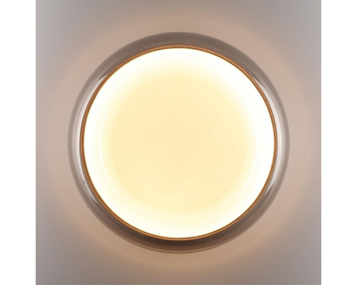 Накладной светильник Sonex PORTMAN 7777/DLN