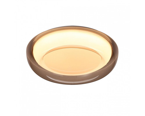 Накладной светильник Sonex PORTMAN 7777/DLN