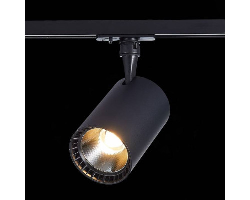 Светильник на штанге ST-Luce Cami ST351.436.20.36