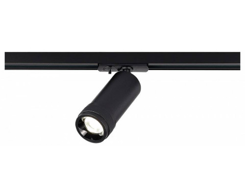 Светильник на штанге ST-Luce BASE ST385.446.20