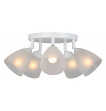 Потолочная люстра Vitaluce V4355 V4355-0/5PL