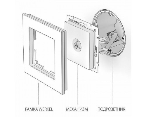 ТВ-розетка без рамки Werkel cеребряный рифленый W1183009