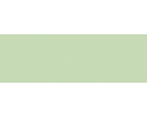 Garden Grass WT11GDN04 Плитка настенная 200*600 (15 шт в уп/54 м в пал)