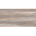 Esprit Wood WT9ESR21 Плитка настенная 250*500*9  (13 шт в уп/63,375 м в пал)