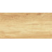 Paradise Wood WT9OAS31 Плитка настенная 250*500*9  (13 шт в уп/63,375 м в пал)