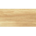 Paradise Wood WT9OAS31 Плитка настенная 250*500*9  (13 шт в уп/63,375 м в пал)
