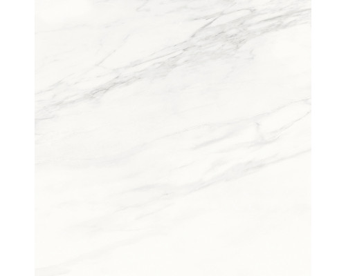 Calacatta Superb Керамогранит белый 60x60 полированный