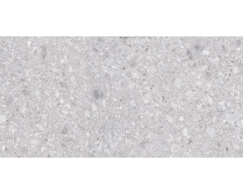 Matrix Керамогранит светло-серый K952681R0001LPER 60х120