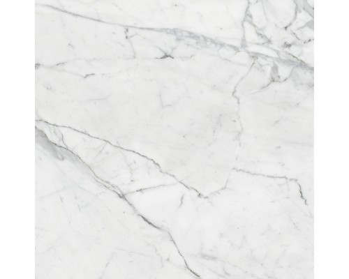 Marble Trend Керамогранит K-1000/MR/60x60x10/S1 Carrara