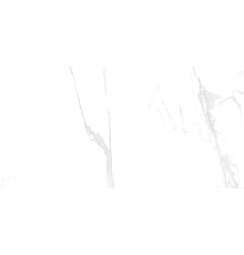 Statuario Плитка настенная белый 08-00-00-2465 20х40