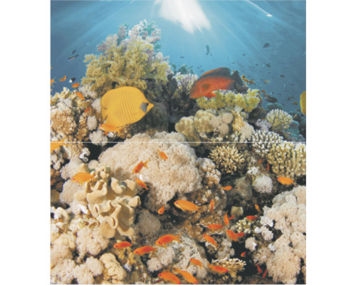 Dec Corals Panno (панно из 2-х шт) 50х45