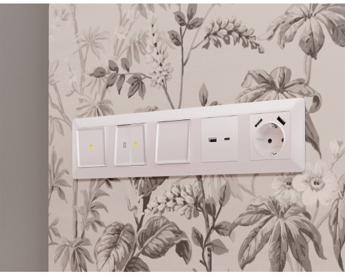 Клавиши для выключателя двухклавишного Ambrella Volt Quant AP2030