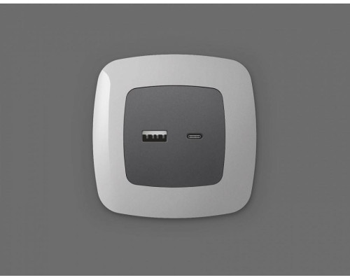 Накладка для розетки type A и C Ambrella Volt Quant OP6610