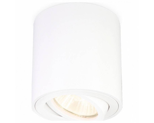 Накладной светильник Ambrella Light TN TN22701