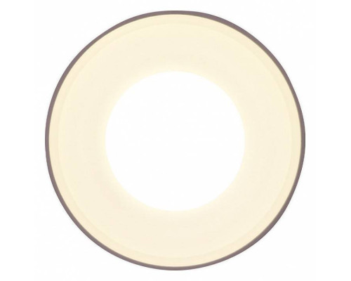 Накладной светильник Ambrella Light TN TN3202