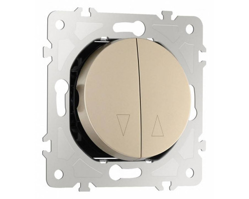 Выключатель для жалюзи без рамки Arte Milano 202 202.38-2.shampan