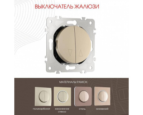 Выключатель для жалюзи без рамки Arte Milano 202 202.38-2.shampan