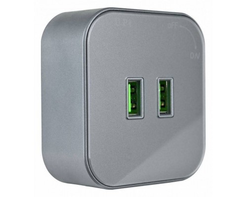 Розетка 2xUSB на треке Arte Milano Am-track-sockets 380022TS/USBx2 Grey