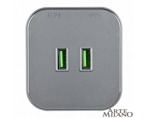 Розетка 2xUSB на треке Arte Milano Am-track-sockets 380022TS/USBx2 Grey