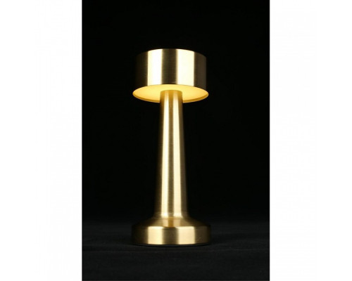 Настольная лампа декоративная Aployt Perrayn APL.671.04.01