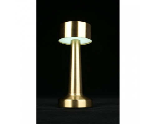 Настольная лампа декоративная Aployt Perrayn APL.671.04.01