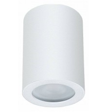 Накладной светильник Arte Lamp Tino A1468PL-1WH