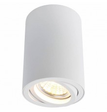 Накладной светильник Arte Lamp Sentry A1560PL-1WH