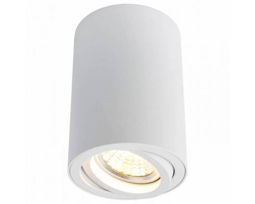 Накладной светильник Arte Lamp Sentry A1560PL-1WH