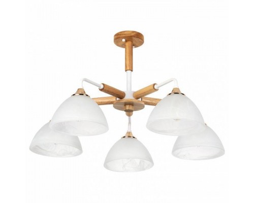 Люстра на штанге Arte Lamp Matthew A5032PL-5BR