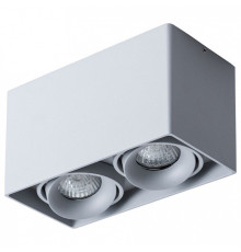 Накладной светильник Arte Lamp Pictor A5654PL-2GY