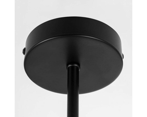 Люстра на штанге Citilux Fisher CL218163