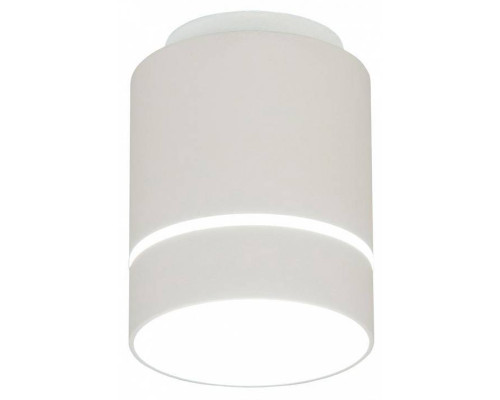 Накладной светильник Citilux Борн CL745010N