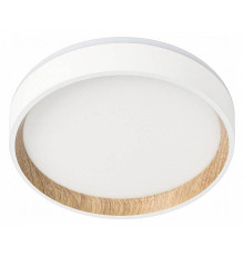 Накладной светильник Citilux Etalon CL750180