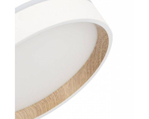 Накладной светильник Citilux Etalon CL750180