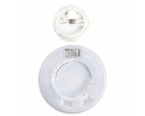 Накладной светильник Citilux Etalon CL750180