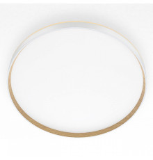 Накладной светильник Citilux ETALON CL750500R