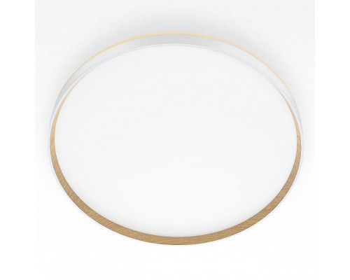 Накладной светильник Citilux ETALON CL750500R