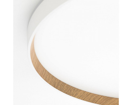 Накладной светильник Citilux ETALON CL750500R