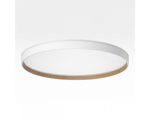 Накладной светильник Citilux ETALON CL750500R