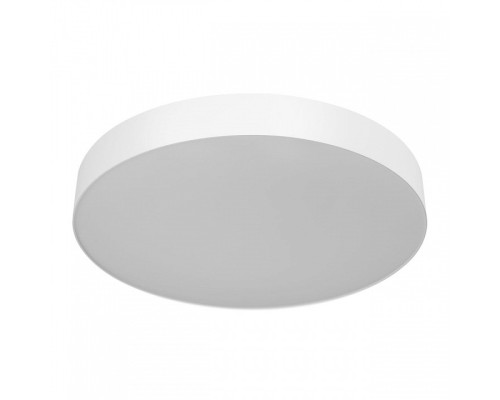 Накладной светильник Citilux BART CL755490