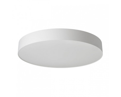 Накладной светильник Citilux BART CL755490