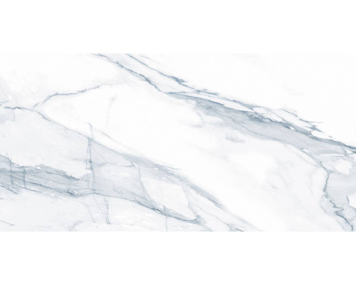 Керамогранит Alpino D12070M матовый карвинг 60х120 см D12070M