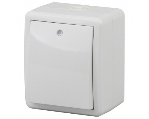 Выключатель одноклавишный с подсветкой Эра Эра Эксперт 11-1402-01