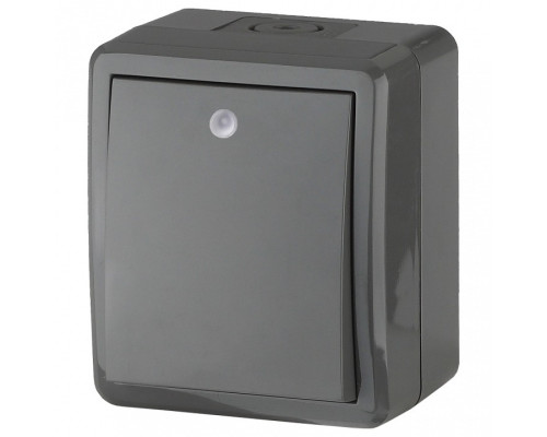 Выключатель одноклавишный с подсветкой Эра Эра Эксперт 11-1402-03