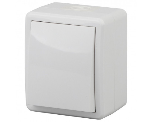 Переключатель одноклавишный Эра Эра Эксперт 11-1403-01