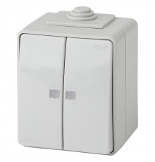 Выключатель двухклавишный с подсветкой Эра Эра Эксперт 11-1605-03